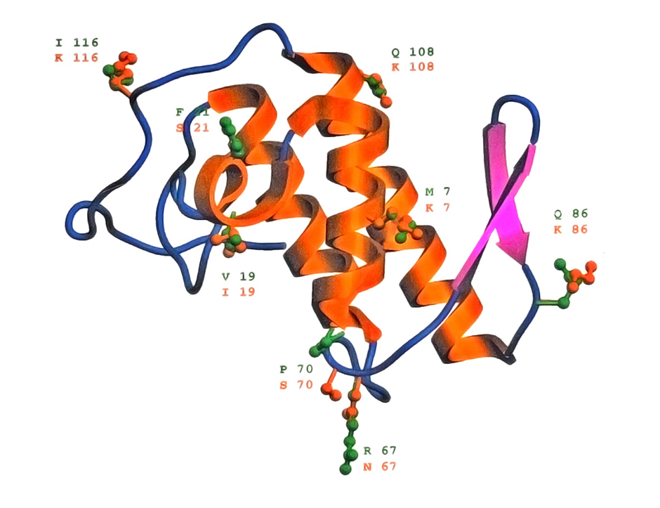 Division of Biochemistry visual